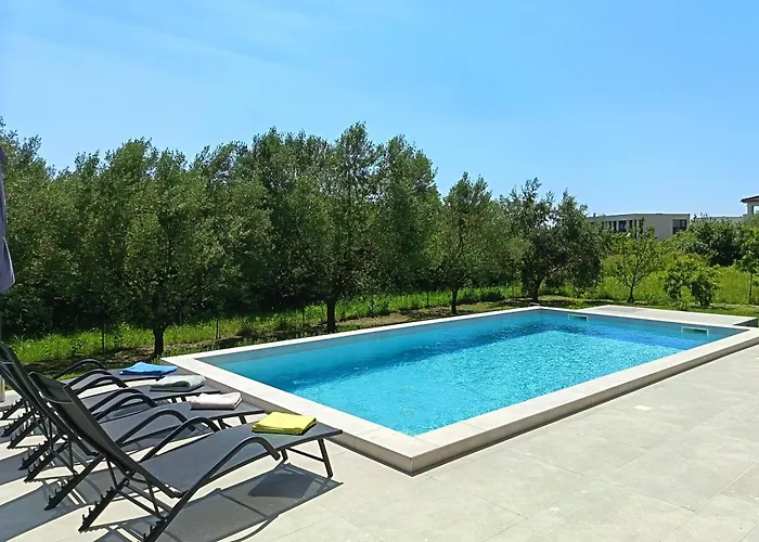 Dali Pomer * Πούλα