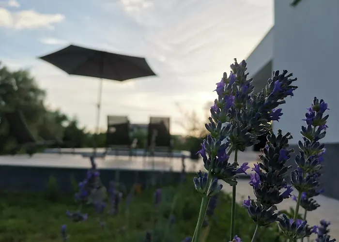 Dali Pomer Вілла *