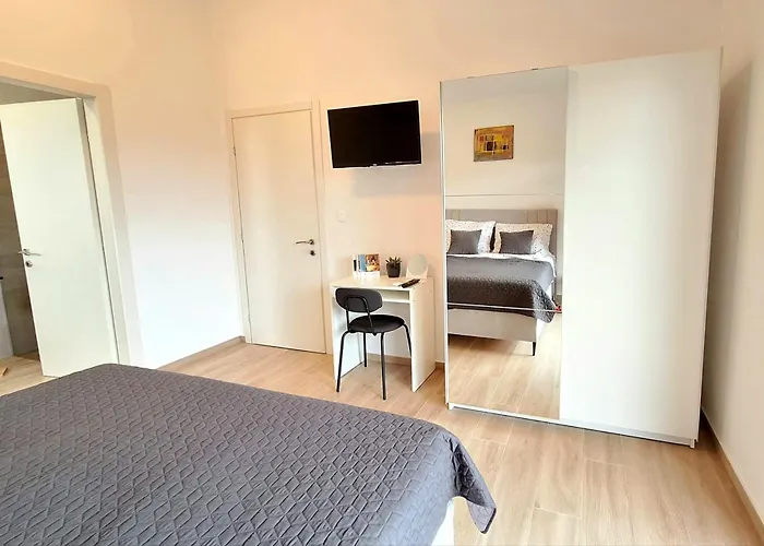 فيلة Dali Pomer *